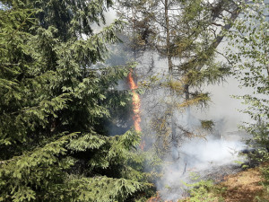 Oheň v lese u Hamru na jezeře se znovu rozhořel. Hasiči použili drony na lokalizaci ohnisek
