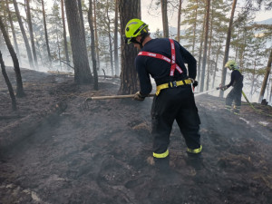 Oheň v lese u Hamru na Jezeře se znovu rozhořel. Hasiči použili drony na lokalizaci ohnisek