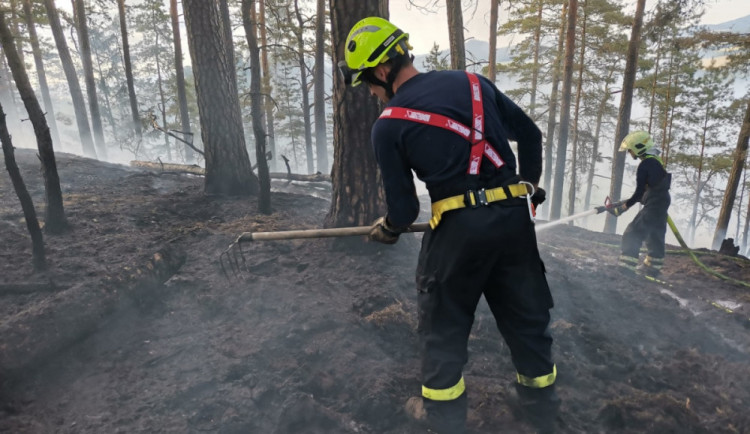 Oheň v lese u Hamru na jezeře se znovu rozhořel. Hasiči použili drony na lokalizaci ohnisek
