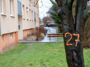 Liberec připravuje revitalizaci sídliště Gagarinova. Chce víc parkovacích míst i zklidnění dopravy
