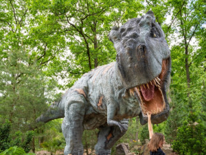 VÍKEND PODLE DRBNY: Dinosauři v Liberci, hudba na přehradě a tančírna na náměstí