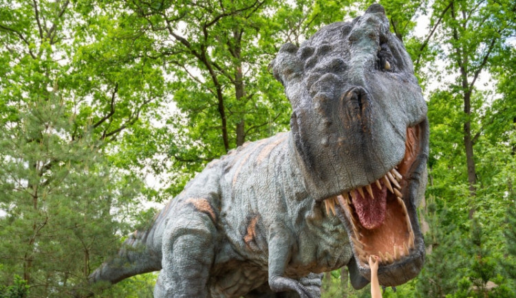 VÍKEND PODLE DRBNY: Dinosauři v Liberci, hudba na přehradě a tančírna na náměstí