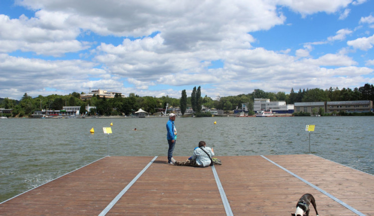 Sinice ustupují. Brňané se na přehradě vykoupou v lepší vodě
