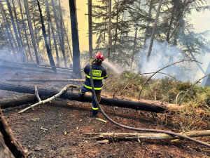 Tři desítky hasičů z Libereckého kraje vyjely na pomoc k požáru na Děčínsku