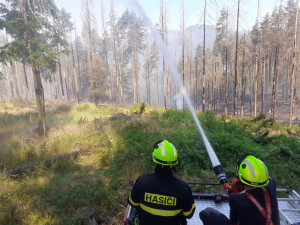 Do hašení požáru v Hřensku se zapojilo téměř sedmdesát hasičů z Libereckého kraje. Na pomoc přiletěla letadla ze Švédska