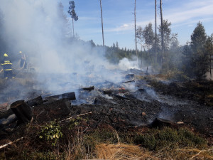 Do hašení požáru v Hřensku se zapojilo téměř sedmdesát hasičů z Libereckého kraje. Na pomoc přiletěla letadla ze Švédska