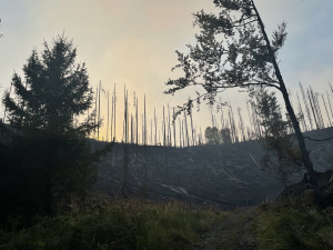 Do hašení požáru v Hřensku se zapojilo téměř sedmdesát hasičů z Libereckého kraje. Na pomoc přiletěla letadla ze Švédska