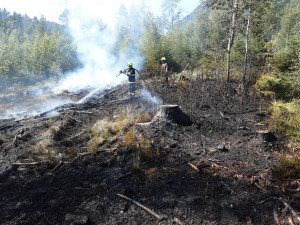 Do hašení požáru v Hřensku se zapojilo téměř sedmdesát hasičů z Libereckého kraje. Na pomoc přiletěla letadla ze Švédska