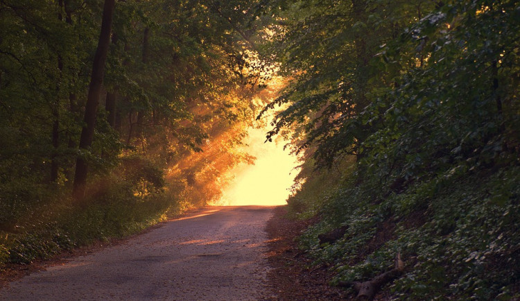 O víkendu budeme měřit kolem 23 stupňů. Přidají se dešťové přeháňky
