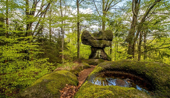 Desatero Jizerskohorských bučin poukazuje na to, jak se správně chovat v přírodě