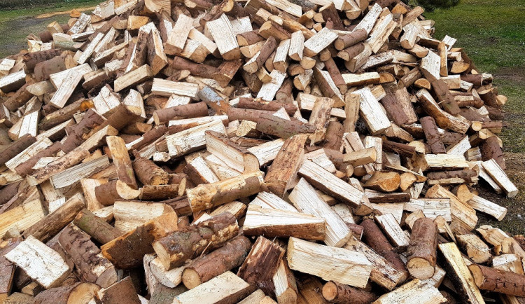 Lidé chtějí topit dřevem. Poptávka po něm se zvýšila o třetinu