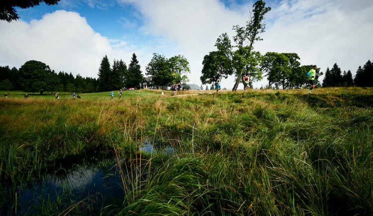 Co se skrývá pod sněhem? Běhej lesy Jizerská je plná překvapení