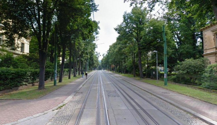 Liberec na promenádní ulici do Lidových sadů pokácí dalších devět stromů