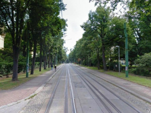 Liberec na promenádní ulici do Lidových sadů pokácí dalších devět stromů