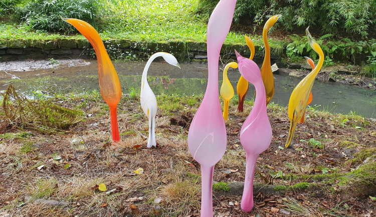 Sklenění plameňáci v liberecké zoo