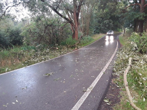 Autor: HZS Libereckého kraje