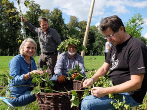 Ve Frýdlantu se pět česal chmel. Pivovar Albrecht z něj uvaří piva Hospodář, Čeledín a Kočí