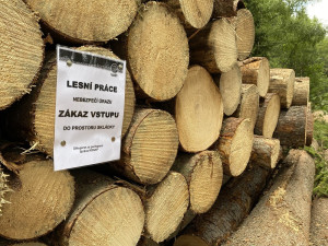 Skládky dřeva nejsou dětské prolézačky, varují lesníci v Krkonoších
