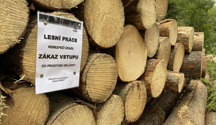 Skládky dřeva nejsou dětské prolézačky, varují lesníci v Krkonoších