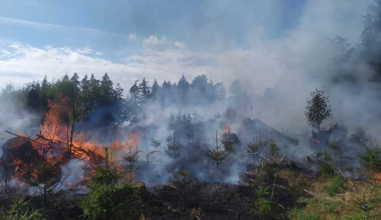 Ve Studenci na Semilsku hořel lesní porost. Hasiči požár likvidovali několik hodin