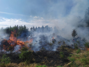 Ve Studenci na Semilsku hořel lesní porost. Hasiči požár likvidovali několik hodin