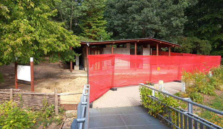 Liberecká zoo zahájila výstavbu nové expozice pro papoušky nestory kea