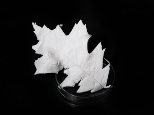 Vědci z liberecké univerzity vytvořili skleněnou porézní plastelínu. Využití najde nejen v designu interiéru