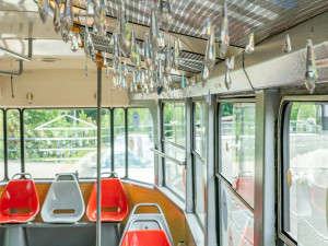 Crystal Valley Week sklízel úspěch. V plánu je i na příští rok