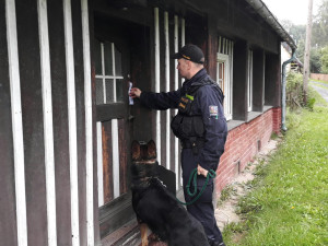Spolupráce česko-polských hlídek pokračuje. Policie dopadla žháře, objasnila krádeže a kontrolovala chaty