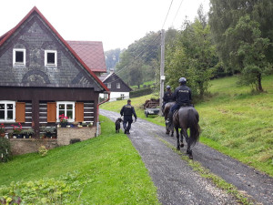Spolupráce česko-polských hlídek pokračuje. Policie dopadla žháře, objasnila krádeže a kontrolovala chaty