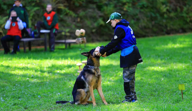 Celostátní soutěže v Pavlovicích se zúčastnily tři desítky psů. Měřili své síly v poslušnosti a obraně