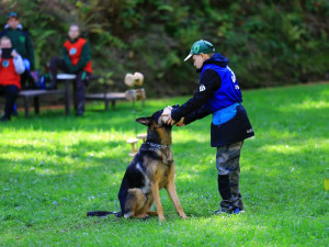 Celostátní soutěže v Pavlovicích se zúčastnily tři desítky psů. Měřili své síly v poslušnosti a obraně