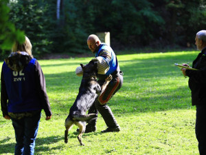 Celostátní soutěže v Pavlovicích se zúčastnily tři desítky psů. Měřili své síly v poslušnosti a obraně