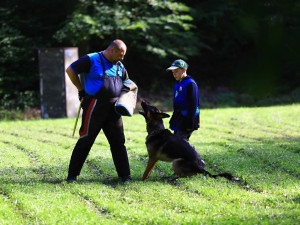 Celostátní soutěže v Pavlovicích se zúčastnily tři desítky psů. Měřili své síly v poslušnosti a obraně