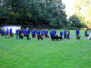 Celostátní soutěže v Pavlovicích se zúčastnily tři desítky psů. Měřili své síly v poslušnosti a obraně