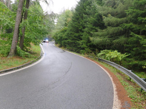 Řidička na Jablonecku nezvládla projet zatáčku a dostala smyk. Narazila do pařezu