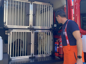 Krajští hasiči mají nové kynologické vozidlo. Pomůže při záchranných akcích i výcviku