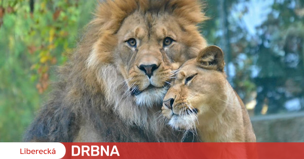 Udělejte si čas v sobotu 8. října na Den zvířat v Zoo Liberec | Společnost  | Zprávy | Liberecká Drbna - zprávy z Liberce a Libereckého kraje