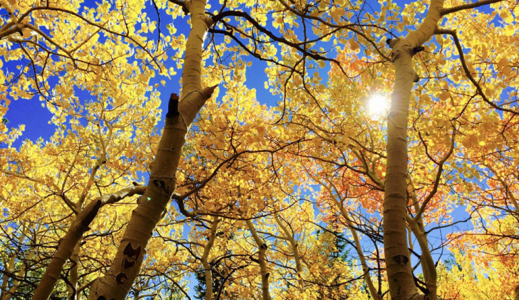 Počasí na víkend. Babí léto naruší sobotní přeháňky