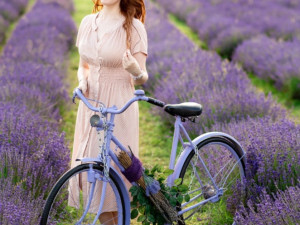 České Provence. Blahodárné účinky levandulí poznávají tisíce návštěvníků areálu kousek za Prahou