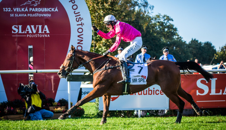 Mr Spex v sedle s Lukášem Matuským zvítězil v letošní Velké pardubické se Slavia pojišťovnou