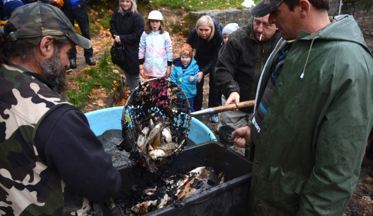 Bez vody i ryb. Na přehradě proběhl výlov