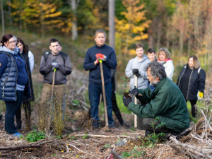 V lesích na Liberecku a v okolí zasadí 70 tisíc stromků, hlavně chybějící druhy. Zapojují se dobrovolníci