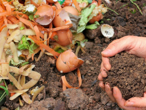 Jablonec začne třídit bioodpad na některých sídlištích. Z něj pak chce prodávat kompost