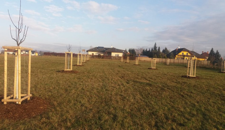 Turnovské sady v Hruštici