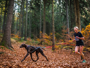 Běžecký závod Janovských 11 a 19 km
