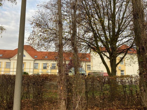 Ve Frýdlantu budou o víkendu kácet nebezpečné topoly u Rákosníčkova hřiště. Přilehlé parkoviště se uzavře