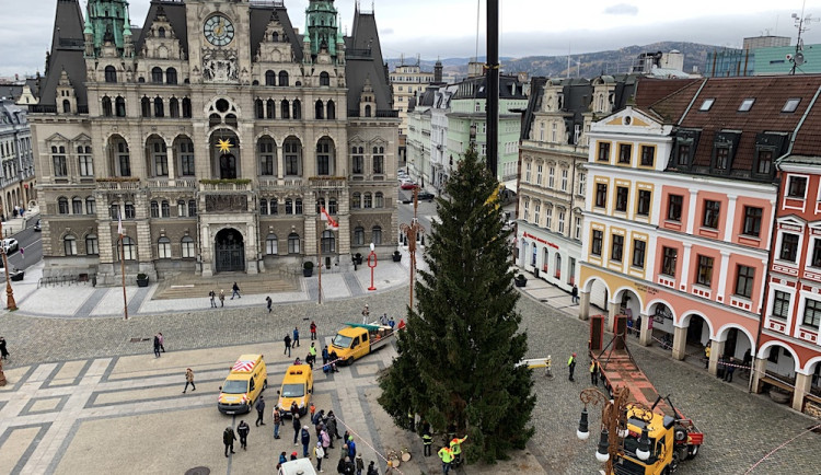 Liberec už má vánoční strom. Na náměstí dorazil z Husitské ulice