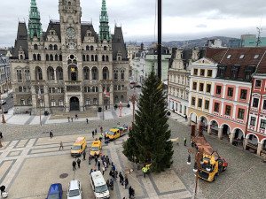 Liberec už má vánoční strom. Na náměstí dorazil z Husitské ulice