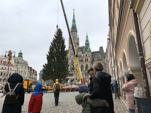 Liberec už má vánoční strom. Na náměstí dorazil z Husitské ulice